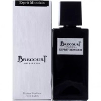 Мужская парфюмированная вода Brecourt Esprit Mondain Мужская парфюмированная вода Brecourt Esprit Mondain