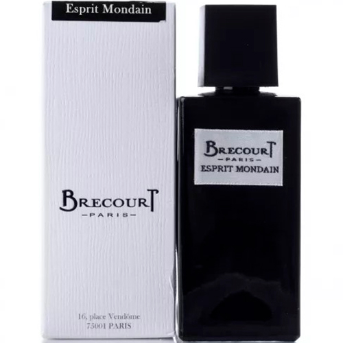 Мужская парфюмированная вода Brecourt Esprit Mondain 124 мл