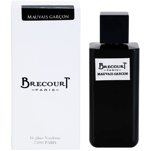 Мужская парфюмированная вода Brecourt Mauvais Garcon 124 мл