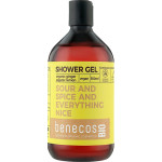 Benecos Гель для душа Organic Ingwer & Zitrone