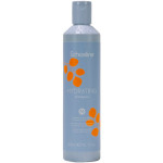 Echosline Увлажняющий шампунь для сухих и пушистых волос Hydrating Veg Echosline Увлажняющий шампунь для сухих и пушистых волос Hydrating Veg