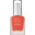 05 Peach Coral