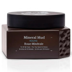 Saphira Минеральная маска для глубокого восстановления волос Healing Mineral Mud