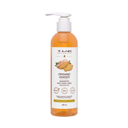 T-Lab Professional Укрепляющий шампунь для секущихся волос с экстрактом имбиря Organic Ginger